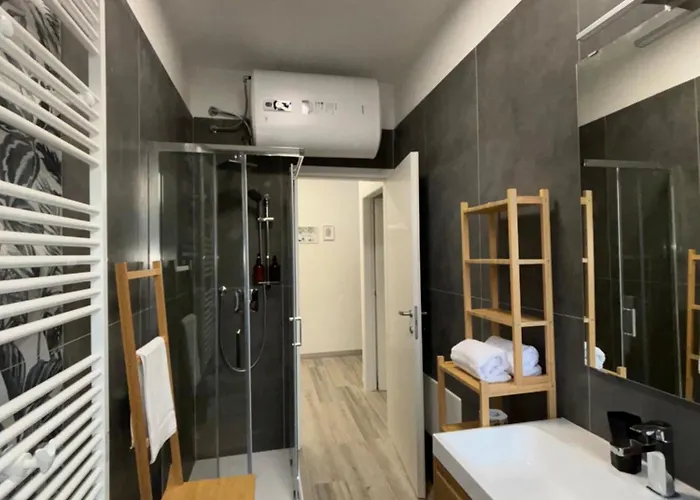 Dama - Parcheggio Privato - Vista 列尔纳